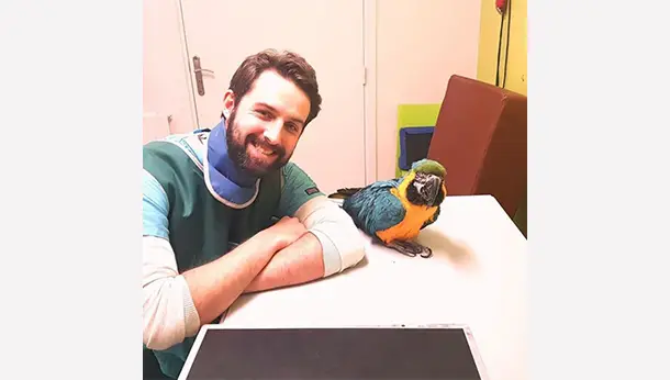 Doc et perroquet Multicolor